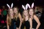 Thumbs/tn_Chaotische Circus disco 363.jpg
